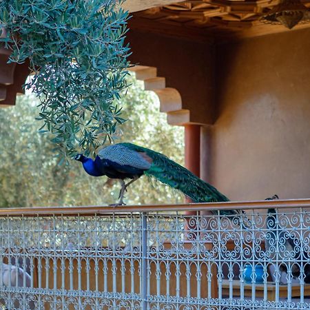 Ferme Sidi Safou & Spa Villa Marrakesh Exterior photo