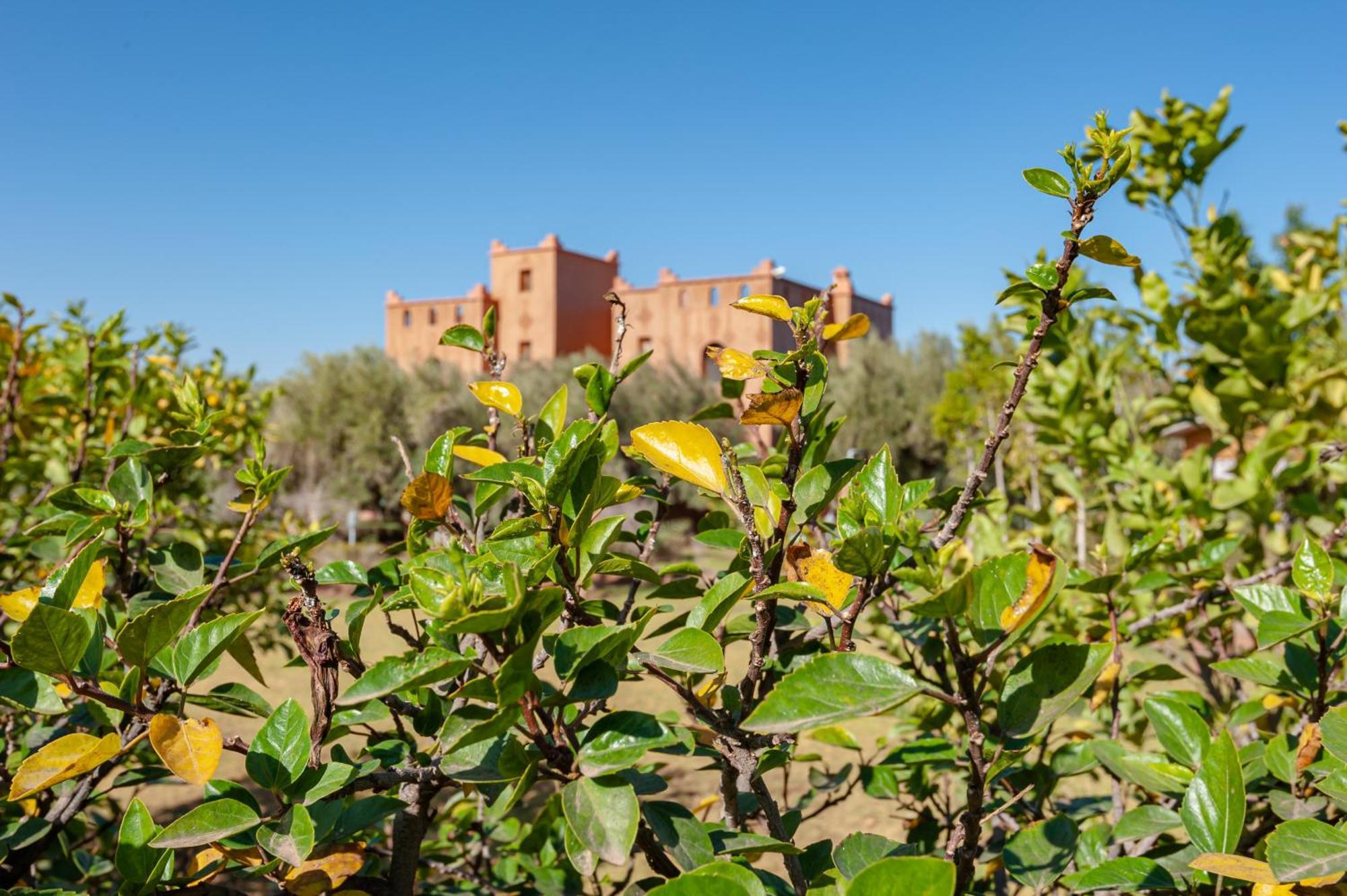 Ferme Sidi Safou & Spa Villa Marrakesh Exterior photo