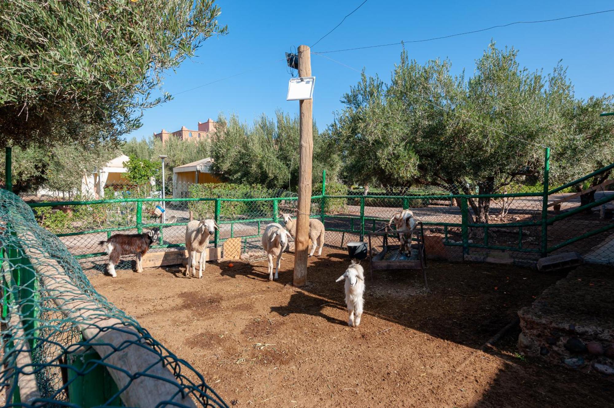 Ferme Sidi Safou & Spa Villa Marrakesh Exterior photo