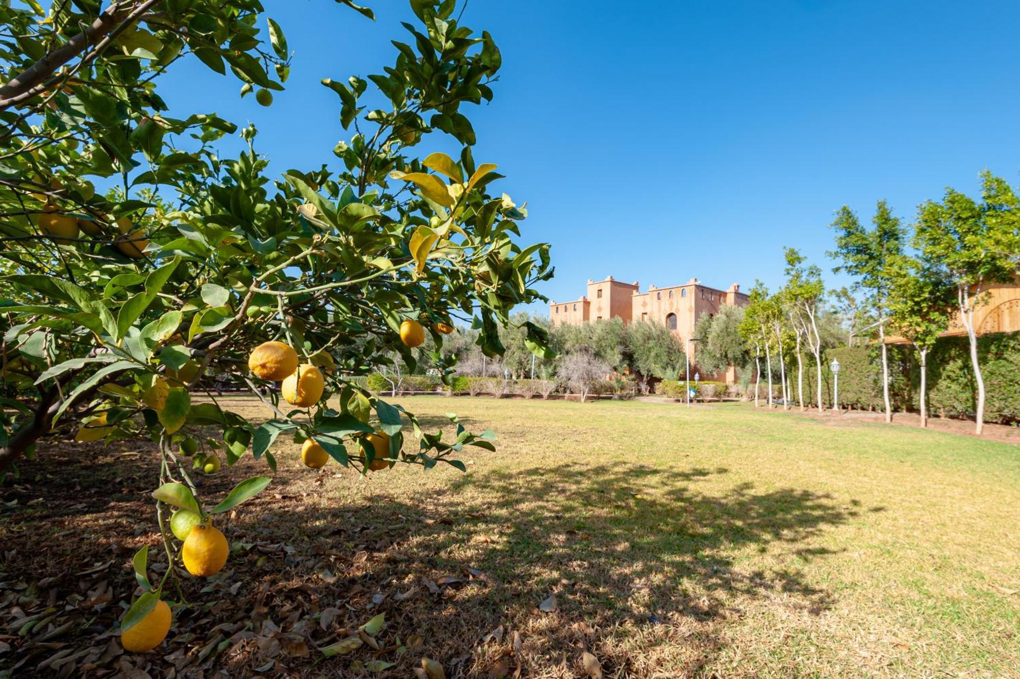 Ferme Sidi Safou & Spa Villa Marrakesh Exterior photo